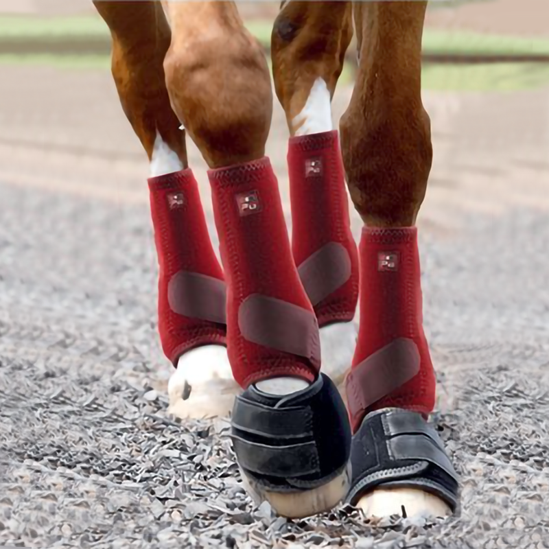 Premier equine medicine sales boots